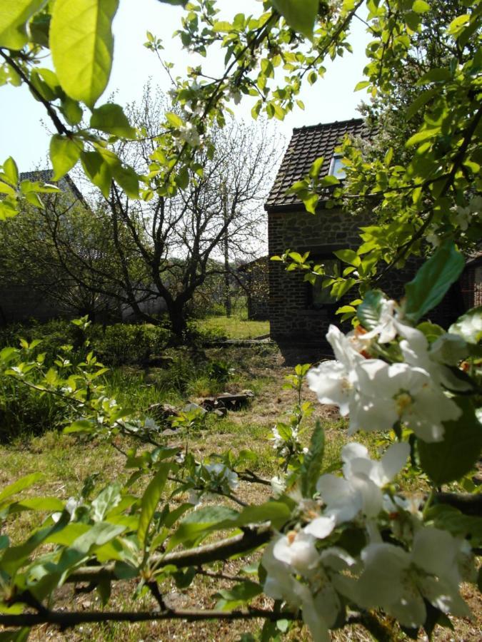 La Maison D'Aldegonde Beloeil Eksteriør billede